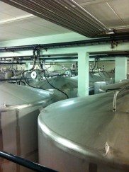Stainless steel vats