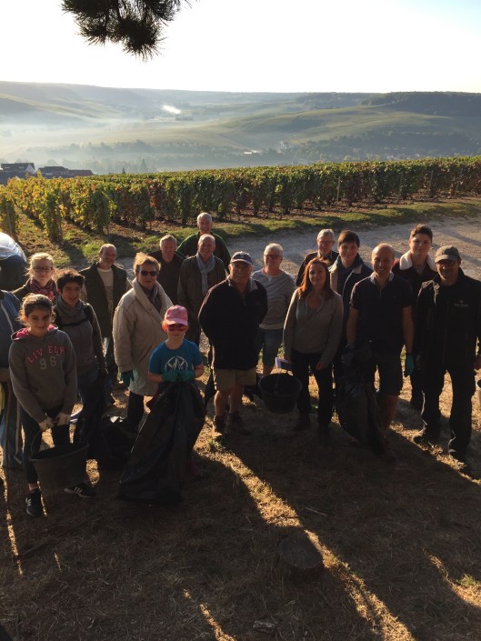 Morning Clean Up Crew